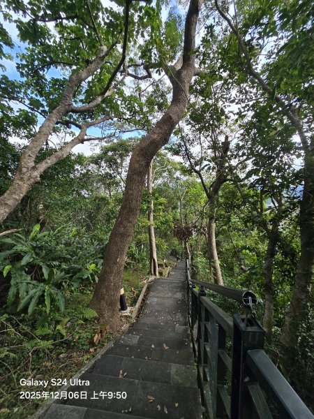 2025-12-06微笑山線：【二格山系】和美山螢火蟲段2956820