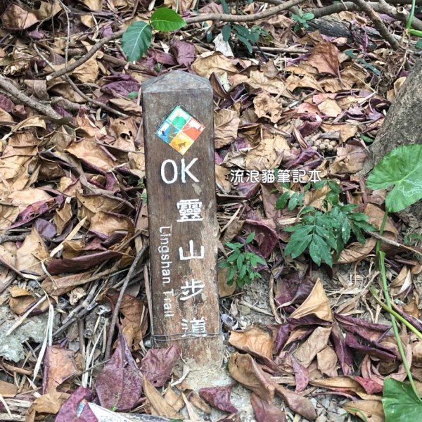 【小百岳】旗尾山，旗靈縱走，步道巨石錯落，攀繩陡坡，具有挑戰性2289352