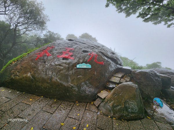 連走北縱678，喜見雨落桐花雪2129220