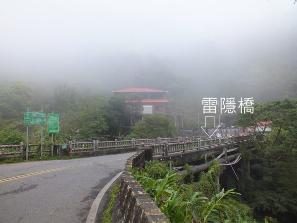 古道水圳賞櫻花2733432