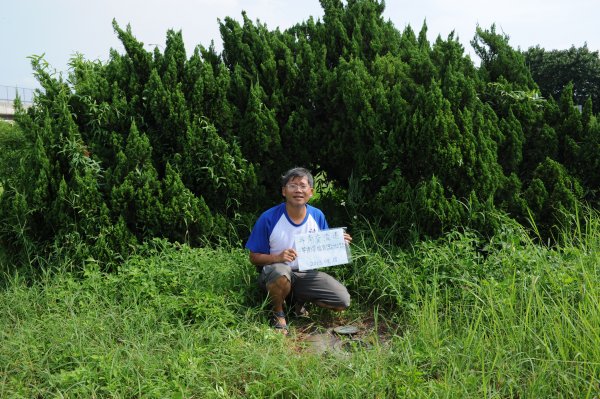 [一等衛星控制點巡禮] 2013_0818_斗南交流道(雲林縣)2169848