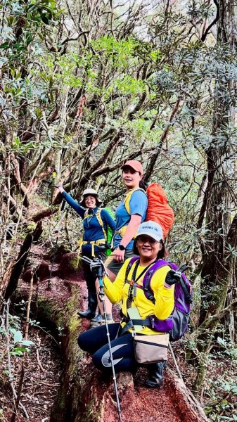 🌈4/13（日）（三）魔法森林-塔曼山~FB：熊熊趴爬走🌈2761332