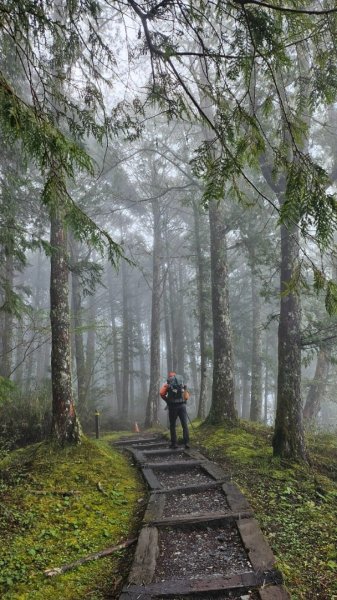 20250319～20嘉明湖國家步道🥶🥶🥶殘念😭2739791