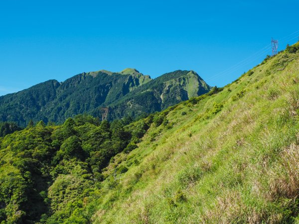 [百岳]能高越嶺逆走與奇萊南峰1042793