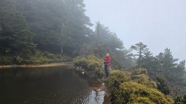 20250319～20嘉明湖國家步道🥶🥶🥶殘念😭2739736