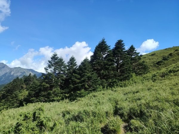 1140812合歡東峰3098155