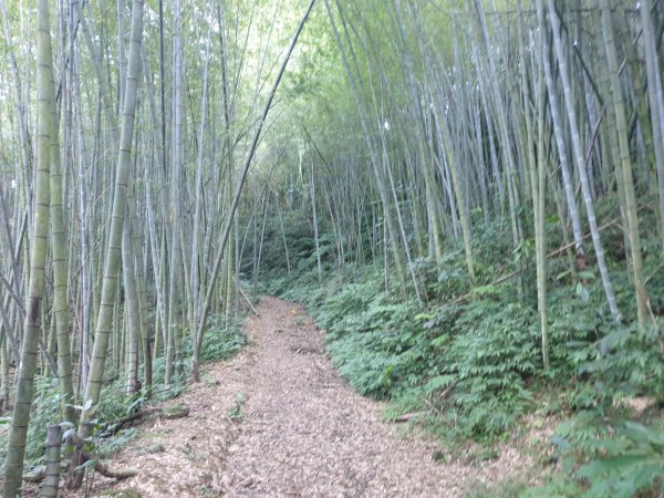 志繼山、東眼山、拉卡山1561236