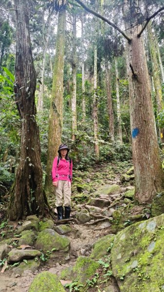 五指山走春3009584