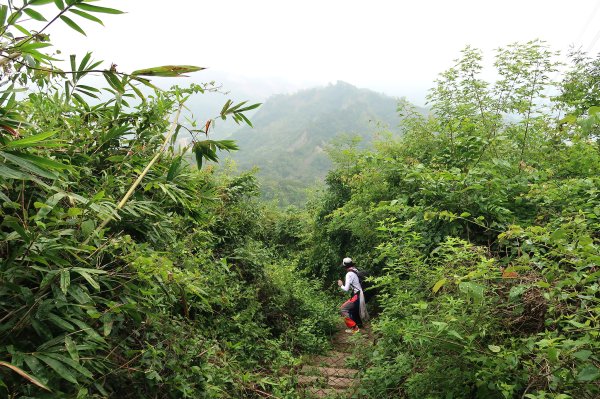 烏山嶺水利古道2799213
