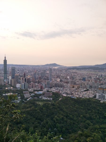 南港山縱走親山步道(拇指山、南港山、象山、九五峰)1820273