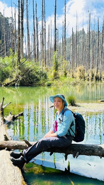 水漾森林、鹿屈山O走2461729