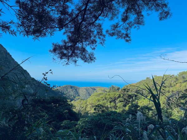 楓港紫竹林龍峰寺起登 里龍山(小百岳#80)來回2964451