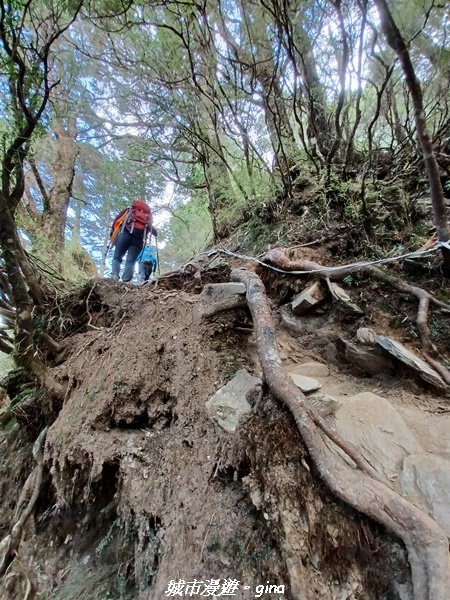 【高雄桃源】朝聖壯闊山景之南橫三星。 編號72百岳~塔關山登山步道2096665