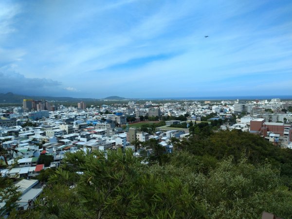 步道巡訪員 l 鯉魚山步道七月巡訪日誌1050320