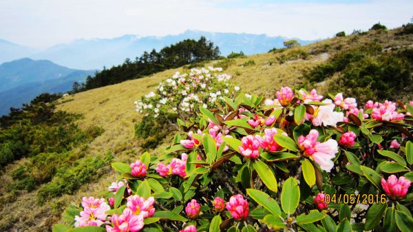 南湖 - 鑲嵌在高山幽谷間的璀璨鑽石 ! 165664