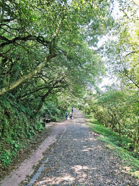 2026年臺北大縱走第二段：二子坪至小油坑3029482