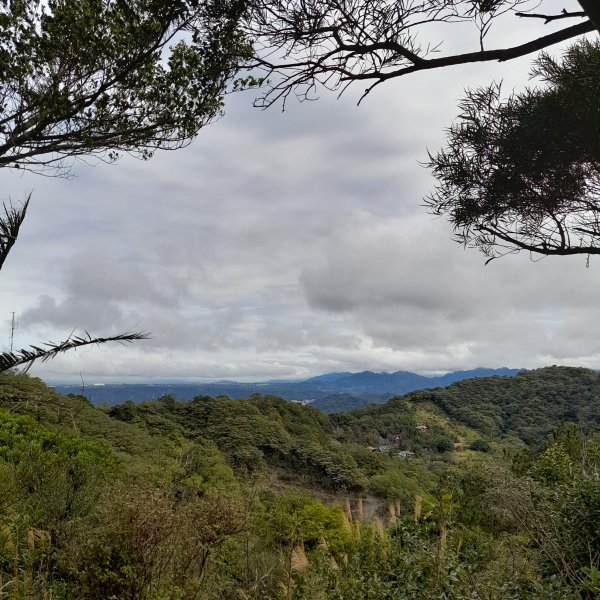 小百岳No.27⛰飛鳳山(中坑山)2405850