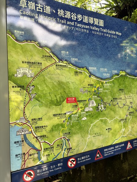 2025 芒草季 草嶺古道2932905