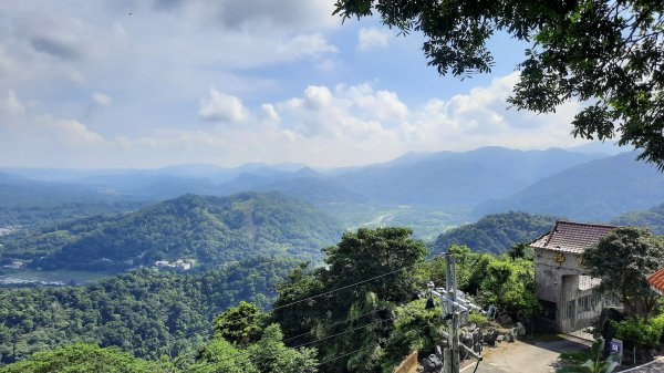 《新竹》石階古道｜橫山大崎棟古道O繞上大山背山202308252261578