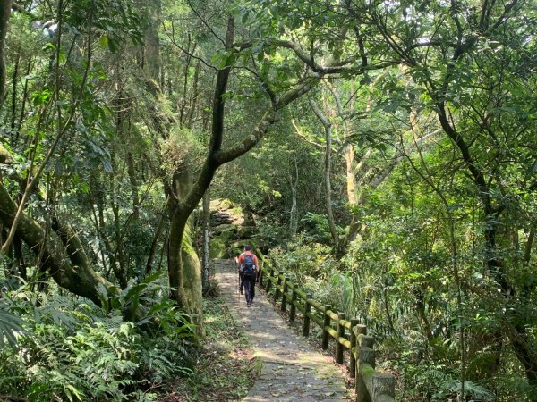 大崎棟古道、騎龍古道2772261