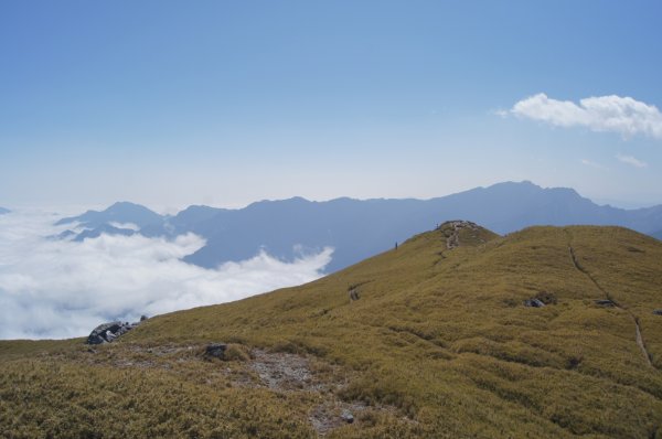 0228-0302奇萊南華&能高山主峰538230