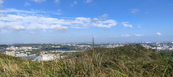 秀才登山步道2936927