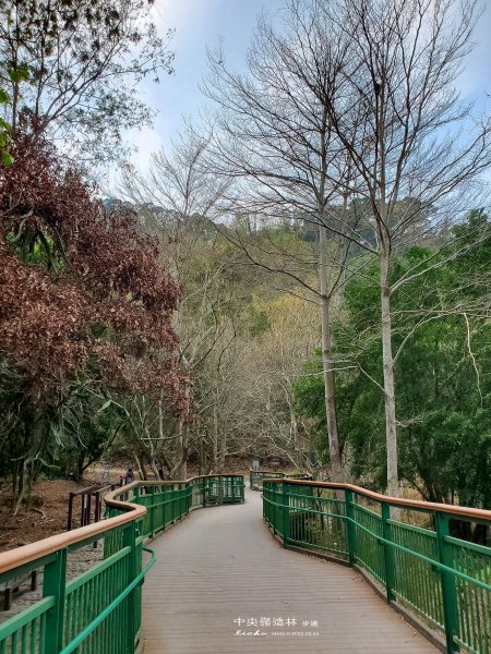 彰化縣社頭鄉~清水岩中央嶺造林步道&十八彎步道2168012