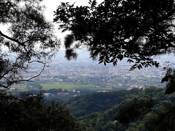 台中新田步道接大胡山O型20190601595476