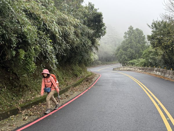 七星山 冷水坑上小油坑下環七星山人車分道O繞 202511082934910