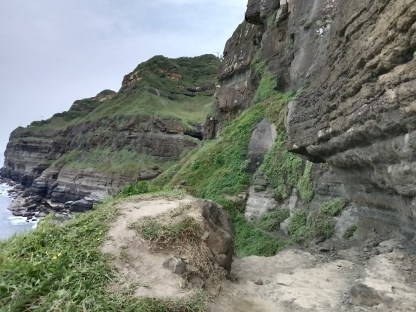 瑞芳區神秘海岸+鼻頭角燈塔+鼻頭角稜谷步道O型2760154