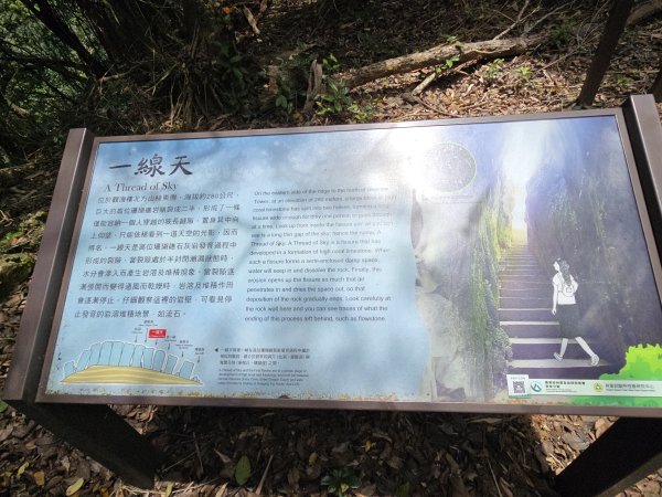 2025-05-31墾丁國家森林遊樂區步道群2801787