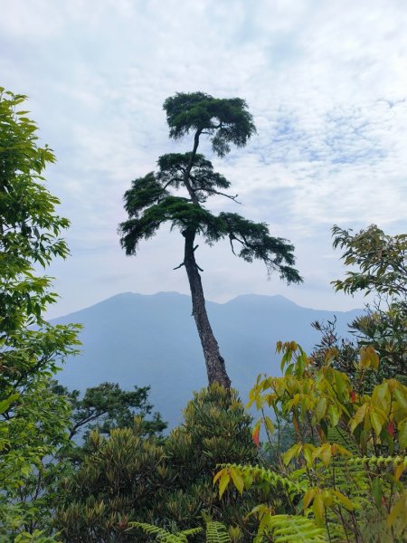 1130511夫拉縱走2500142