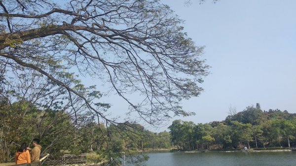 2020 2/4 虎頭埤878916