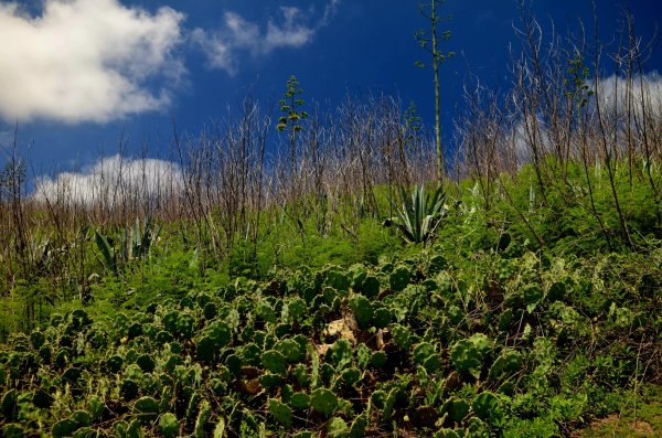 蛇頭山-小百岳#100-澎湖縣馬公市2827364