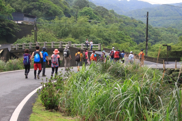 後花園最美的步道[草嶺古道]38000