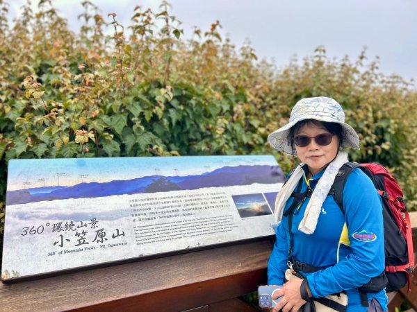 阿里山小笠原祝山森林遊3091586
