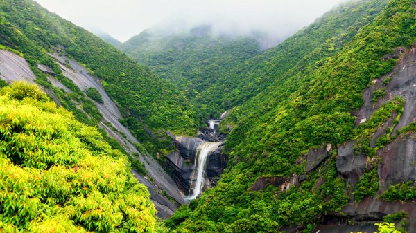 南九州－屋久島千尋瀑布,托羅奇瀑布3063708