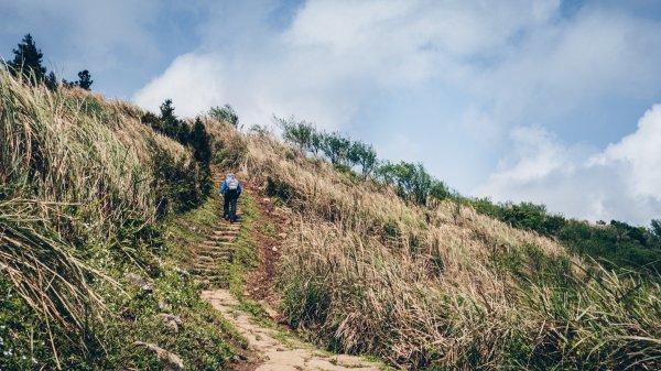 陽明山東段縱走913090