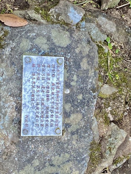 《中正山 × 紗帽山｜穿越北投古道與山林的一日縱走！》2935002