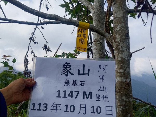 隙頂象山封面