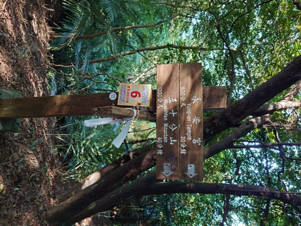 微笑山線之鳶山任務2855513