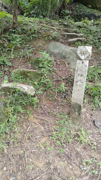 楊廷理古道2814641