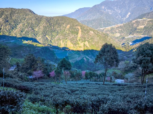 2025-02-16 巴蜈縱走2714304