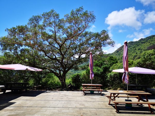 大里天公廟～埡口1829261