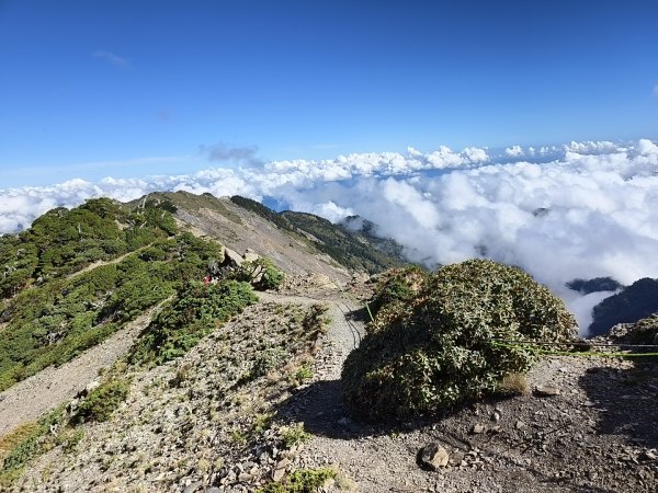 北一段(11/14)南湖北峰 2025_0906~132887291