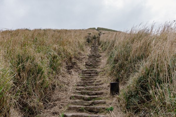 [台北]大屯山2693397