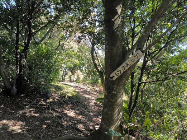 20250906泰山辭修公園、尖棟山、69步道、瓊仔胡2879484