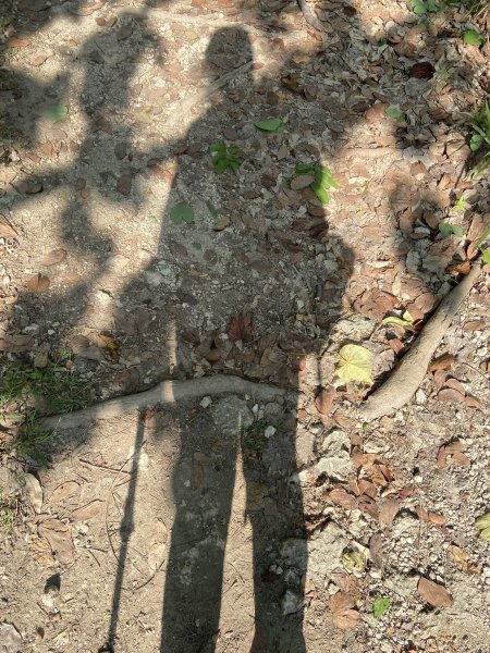 柴山，一年四季3085742