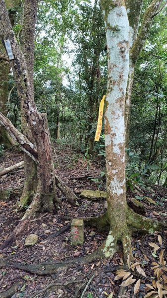 2025 12/27 鳴海山2970999