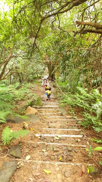 阿興阿賢南天母山天上山火焰山616393